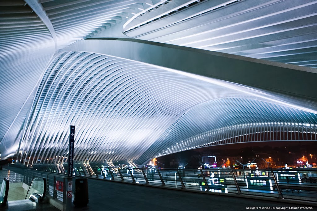 Al momento stai visualizzando Guillemins: scenari lunari. Anima sottomarina. La stazione di Calatrava a Liegi