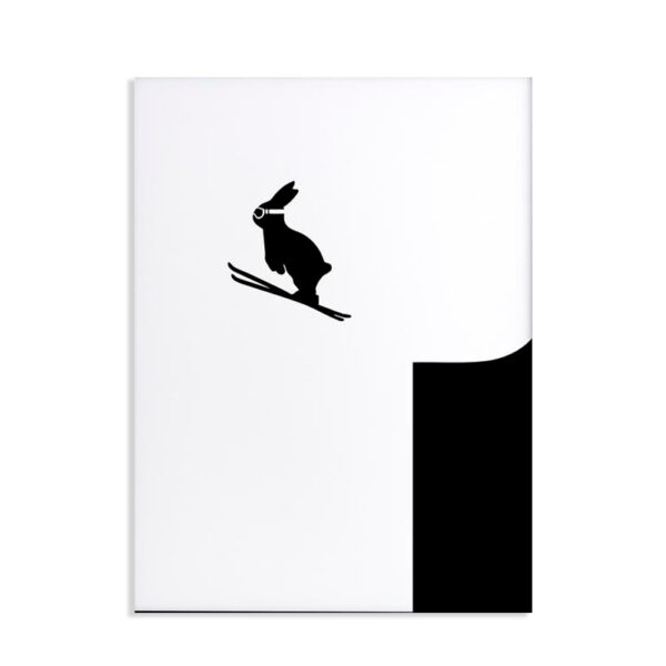 HAM - Ski jumping - Coniglio sciatore 30 x 40